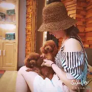 ╰❤╮珈艺╭❤╯