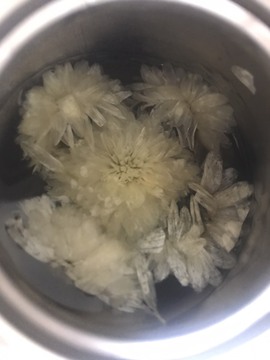 🌻小七（安静唱歌）的图片
