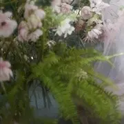 pink、小莉子