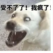 Zong叔叔