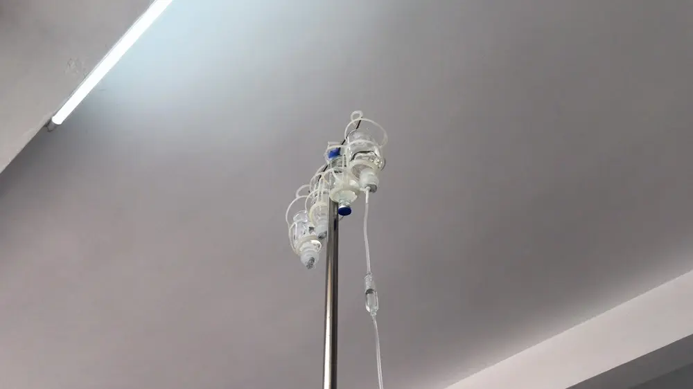 肉宝加加油的主播照片