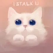 随便侃侃*