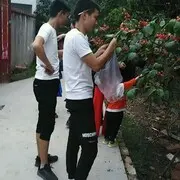 自由龙*