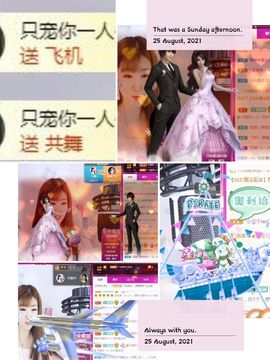 一只雁~的图片