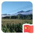 零8i5