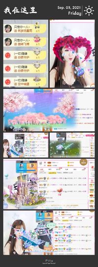 一只雁~的图片