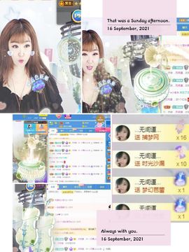 一只雁~的图片