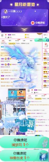 一只雁~的图片