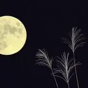 华丽转身遇见你.