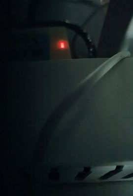 qz001的图片