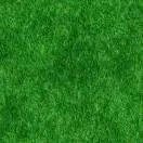 随你8k