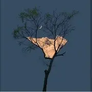 597576785