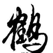 ♫雨中迈步╰∮