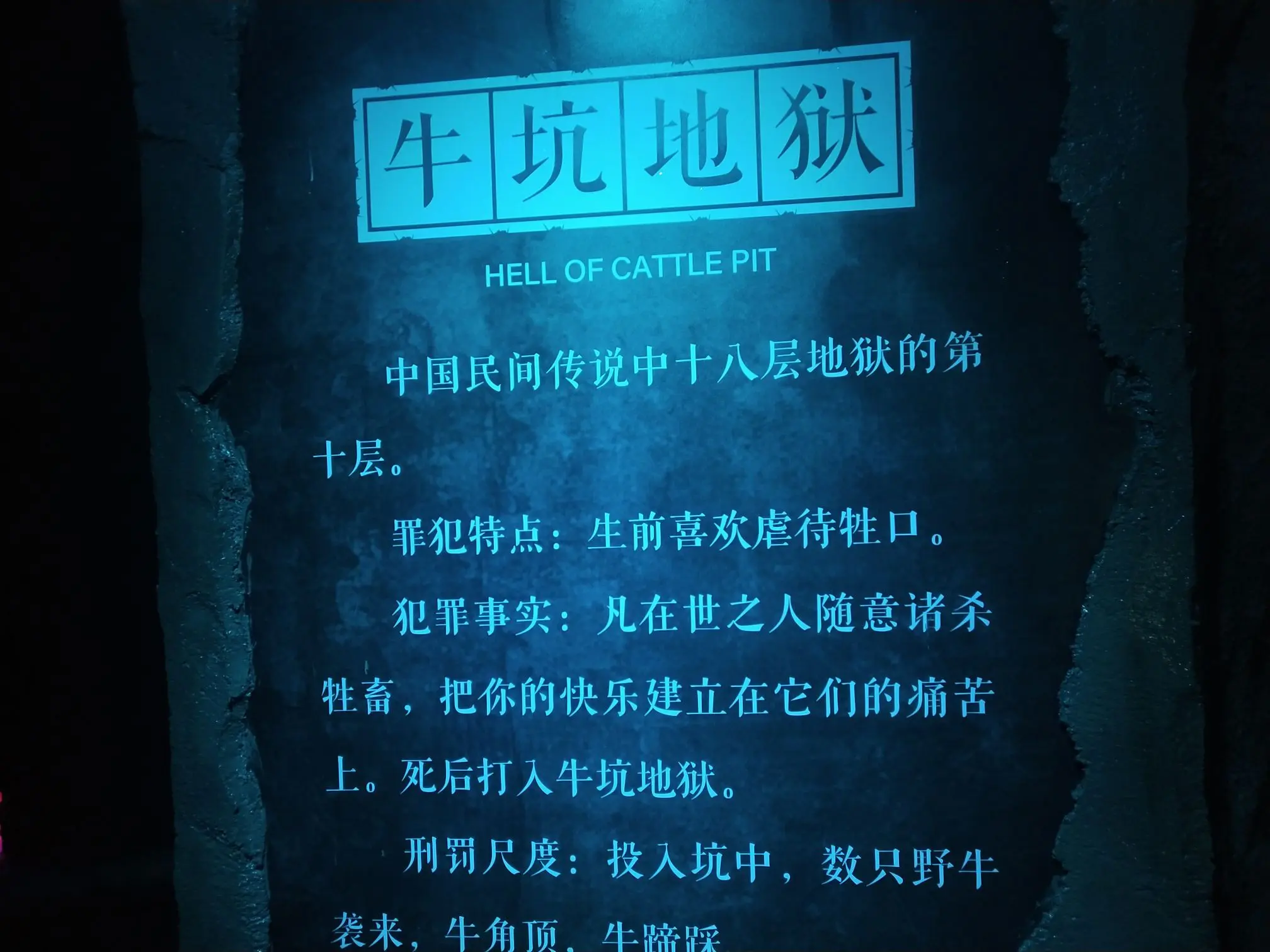 已㜂孞主播图片