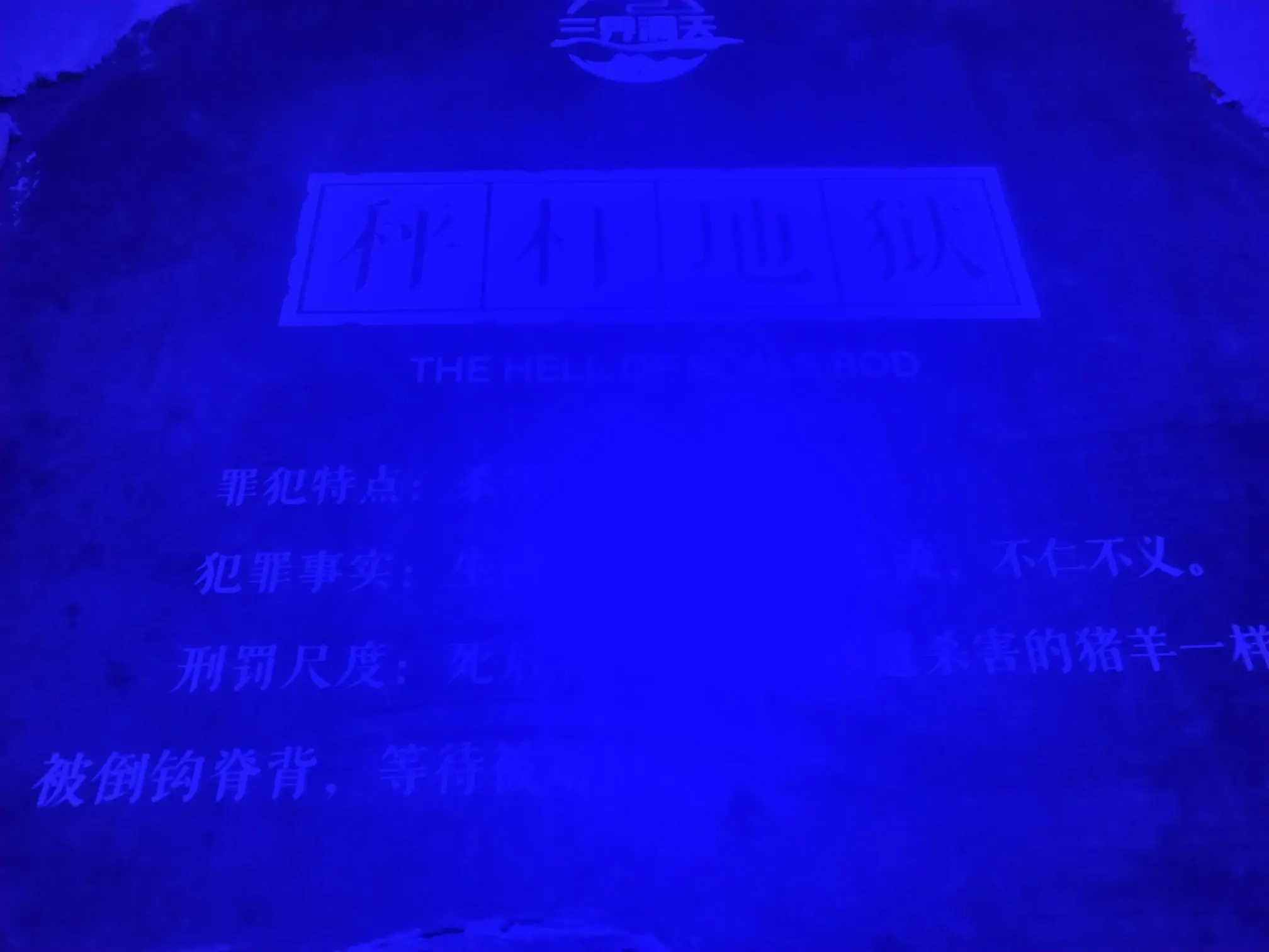 已㜂孞主播图片