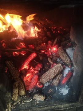 、竹影🍃清风的图片