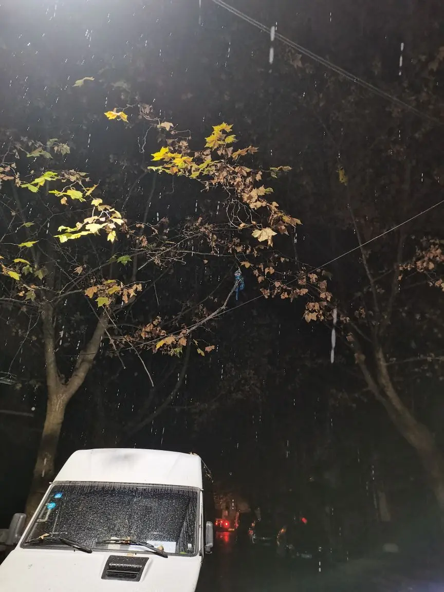 Wyth、迷糊ღ暂退的主播照片