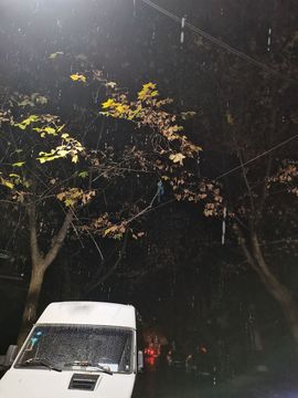 Wyth、迷糊ღ暂退主播照片