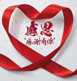 一只雁~的图片
