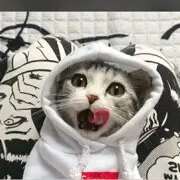 鹅要控寂鹅剂鸡嘞