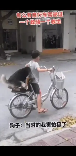 有些故事他真的是故事