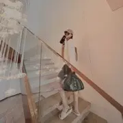 铁菊长