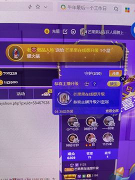 芒果果榴莲莲我是代理的图片