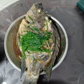 ◎孑然一身的图片
