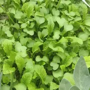 ❃钉钉点点❃