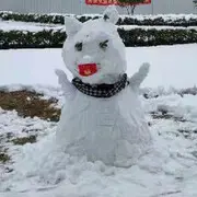 《堆雪人》，