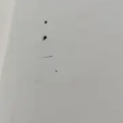 啥傻鲨