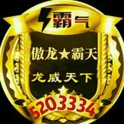 傲龍★霸天头像
