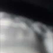 九儿的随从