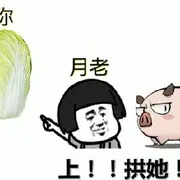 鱼跃龍门♟