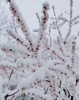 有故事的小哥主播照片