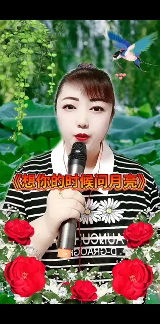 动态分享小视频