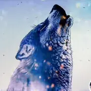 🧚‍♂️🧚‍♂️