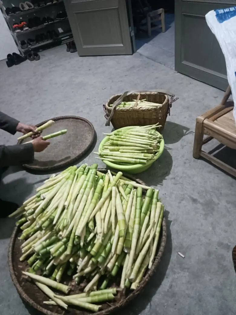 洛神悲赋的主播照片