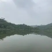 看美女直播。gk