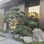 万千红尘，唯独有你