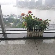 记忆的风帆