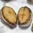 两只肥鲍鱼