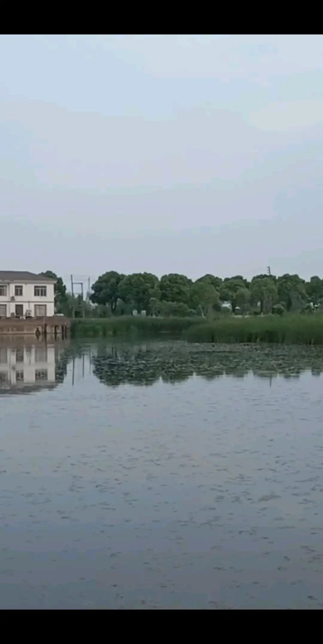鸟语花香，处处留情