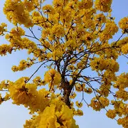 ジ留恋霓裳ベ💐