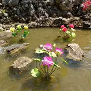 ღ_格林008