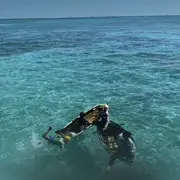 夏天爱喝可乐哟