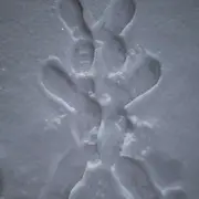 游戏人生丶时光