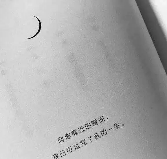 Seven柒.的主播照片
