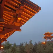 奶瓶12