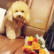 木木男神